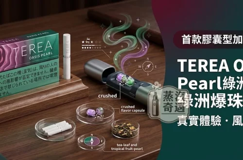 2026最新TEREA Oasis Pearl綠洲爆珠評測:熱帶水果與極致涼感的味蕾饗宴